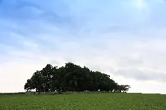 Jüdischer Friedhof Weikersheim