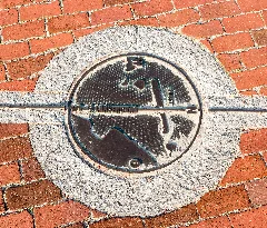 Juist, 7. Längengrad (Strandpromenade) 2014 3485