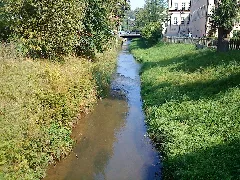 Junge Pegnitz