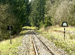 Kälberbruch Holzverladestelle 27.04.12 (21)