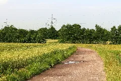 Kainhorststraße, Castrop Rauxel Panoramio (1)