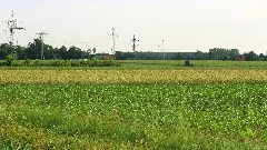 Kainhorststraße, Castrop Rauxel Panoramio (3)