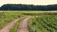Kainhorststraße, Castrop Rauxel Panoramio (4)