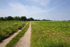 Kainhorststraße, Castrop Rauxel Panoramio