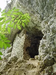Kallenberghöhle Ps889