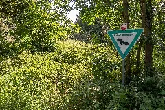 Kalletal Lüdenhausen Nsg Quellbereich Der Osterkalle