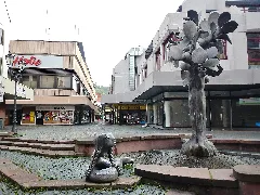 Kartoffelmarkt In Neustadt An Der Weinstraße Panoramio