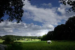 Kattwinkel