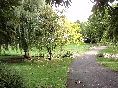 Kesselbachbrücke Weg Weide