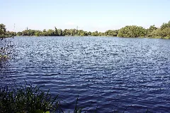 Kiesgrube1 Bei Steinwedel