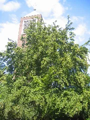 Kilver, Bustedt, Hidenhausen Juni 2009 018