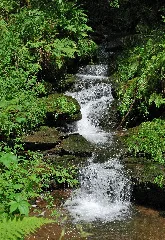Kinzig In Loßburg (2)