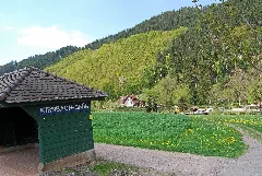Kirnbach (Grün)