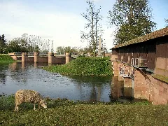 Klappwehr Im Leopoldskanal (Links) Und Auslasswehr Der Alten Elz (Rechts) In Riegel