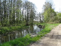 Klein Pankow Gehlsbach 2008 04 24 114