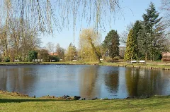 Kleiner Mühlenteich Uetersen