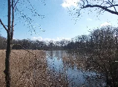 Kleiner Rummelsteich