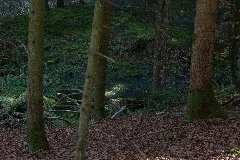 Kleiner Weiher