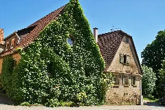 Kleinvillars Wilde Rebe An Fassade Panoramio