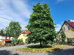 Klengel, Serba 07