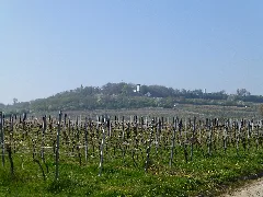 Kloppberg