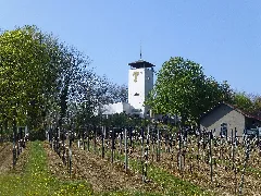 Kloppbergturm 01