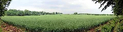 Kluetz Bei Schloss Bothmer