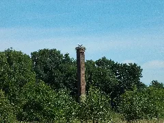 Knauthainstorchennest