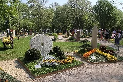 Koblenz Im Buga Jahr 2011 Festung Ehrenbreitstein 12