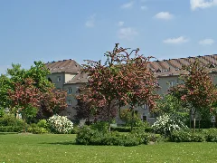 Koeln Mauenheim Gruener Hof001
