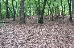 Koenigsforst Huegelgrarp