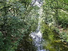 Kogel Siedlung Schaalseekanal 2011 07 16 057
