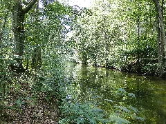 Kogel Siedlung Schaalseekanal 2011 07 16 059