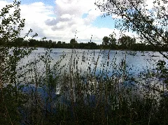 Kräppelweiher 2