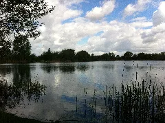 Kräppelweiher 3