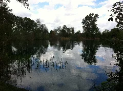 Kräppelweiher 4
