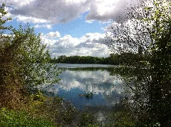 Kräppelweiher 5
