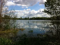 Kräppelweiher 6