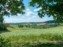 Kraichgau Landschaft Im Mai 170521 (34826402275)