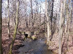 Kranichbach Rummel