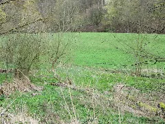 Krebsbach Erbstr.mittellauf 15