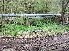 Krebsbach Erbstr.mittellauf 16