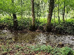 Krebsbachtal
