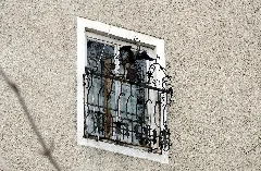 Kremsmünster Herrengasse 2 Gitter