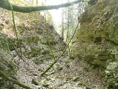 Kressenklinge 150409