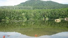 Kruft Waldsee