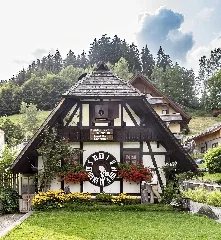 Kuckucksuhr (Schonach) Jm178594