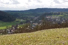 Küchenschellen Wiese (8656573442)