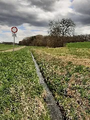 Künsbach 202104 01