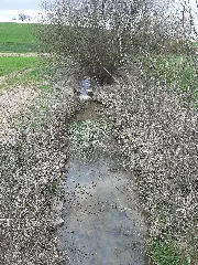Künsbach 202104 02